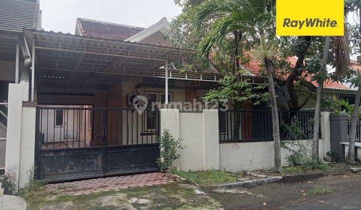 Disewakan Rumah di Jalan Ikan Sepat Perak Surabaya 1