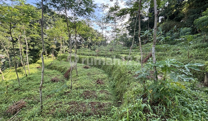 SHM Land in Front of Aqua Factory, Mangli Swimming Pool Wonosobo, Plot Size 1,492 M2 SHM Land in Front of Aqua Factory, Mangli Swimming Pool Wonosobo, Plot Size 1,492 M2