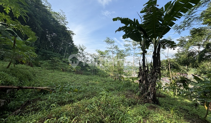 SHM Land in Front of Aqua Factory, Mangli Pool Wonosobo, Plot Size 6,967 M2 SHM Land in Front of Aqua Factory, Mangli Pool Wonosobo, Plot Size 6,967 M2