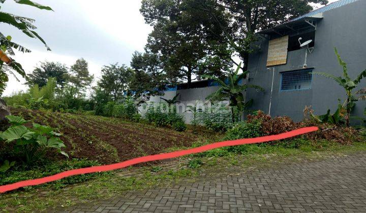 Dijual Tanah Lokasi Pecalukan Prigen Pasuruan 1