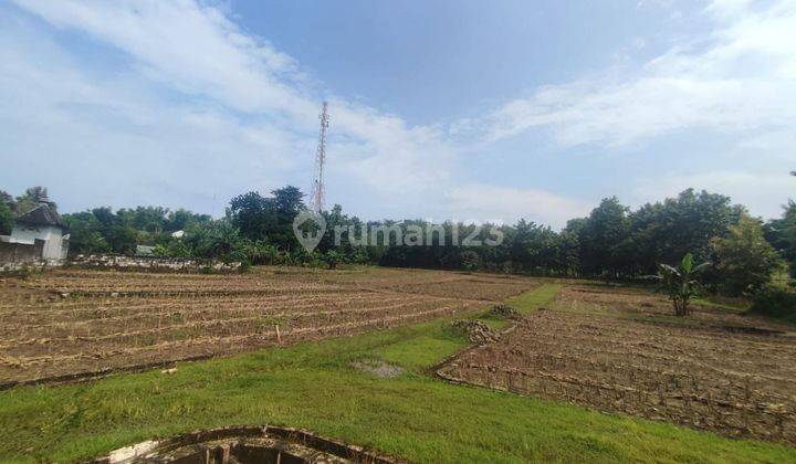 Dijual Lahan Lokasi Kedngpring Lamongan 1