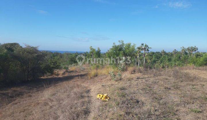 Cheapest, Land Near the Beach in Karangasem Bali. SHM Area 4ha 1