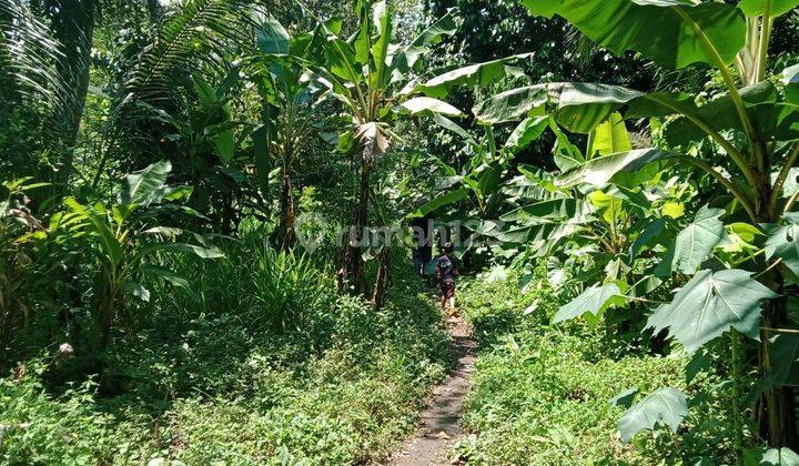 Tanah seluas 1427 m² siap Bangun di Kanigoro Blitar Jawa Timur  3