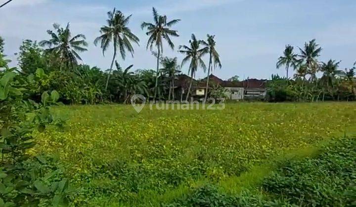 Termurah, Tanah siap bangun berlokasi premium di Tanah Lot - Bali 2