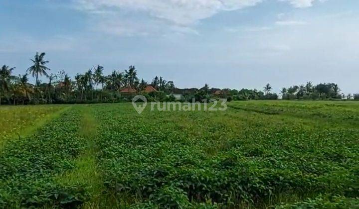 Termurah, Tanah siap bangun berlokasi premium di Tanah Lot - Bali 2