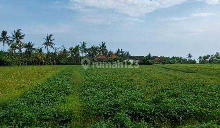 Termurah, Tanah siap bangun berlokasi premium di Tanah Lot - Bali 2