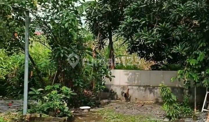 Bisa Beli Separuh Termurah Cuma 6jt/m Jual Cepat Butuh Uang Tanah Belakang Maspion 1 Jalan Jeruk Sawotratap Wage Sidoarjo Dekat Jalan Kembar 1