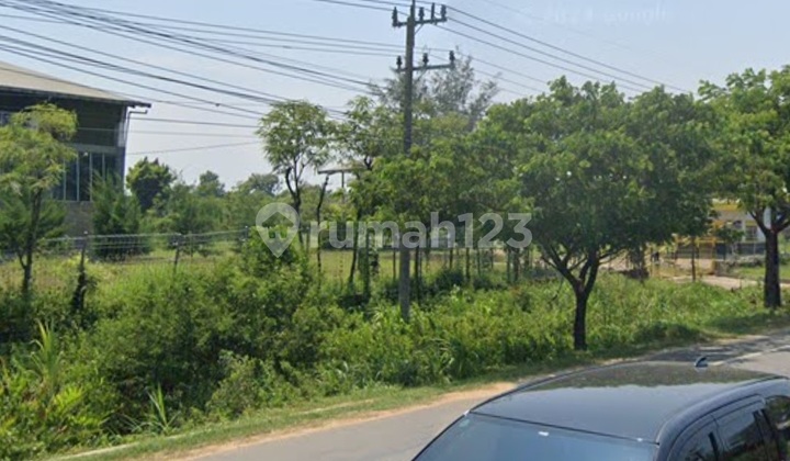 Dijual Cepat Tanah Nol Jalan Pantura Bancar Tuban Murah Banget