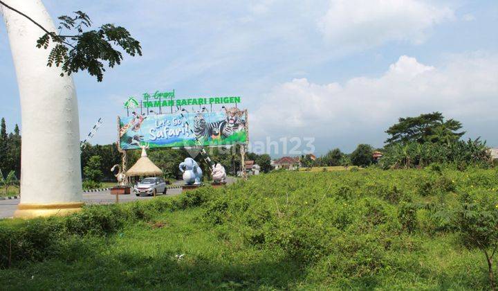 Disewakan Lahan Samping Pintu Masuk Taman Safari Prigen 1