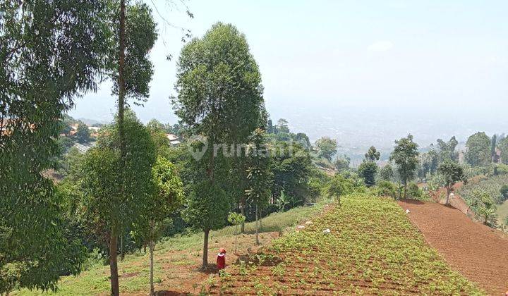 Tanah Kawasan Sejuk Pegunungan Jatihandap Cimenyan Cicaheum 2