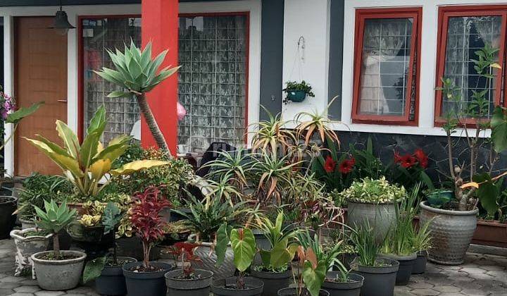 Rumah Villa Sejuk Dan Asri Pusat Kota Lembang Bandung 1