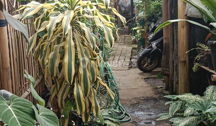 Tanah yg sangat strategis 6