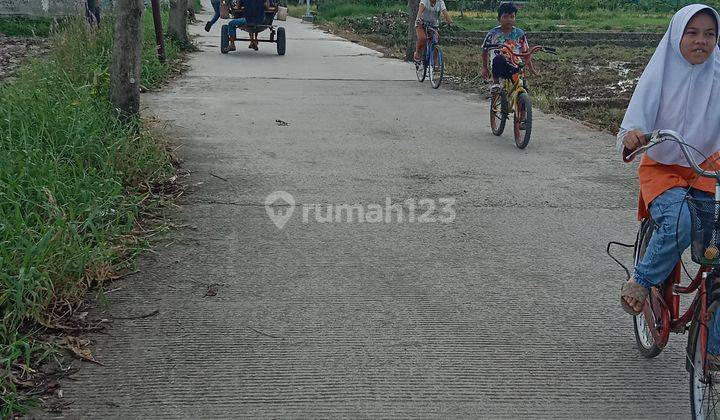 Tanah bagus untuk claster 1