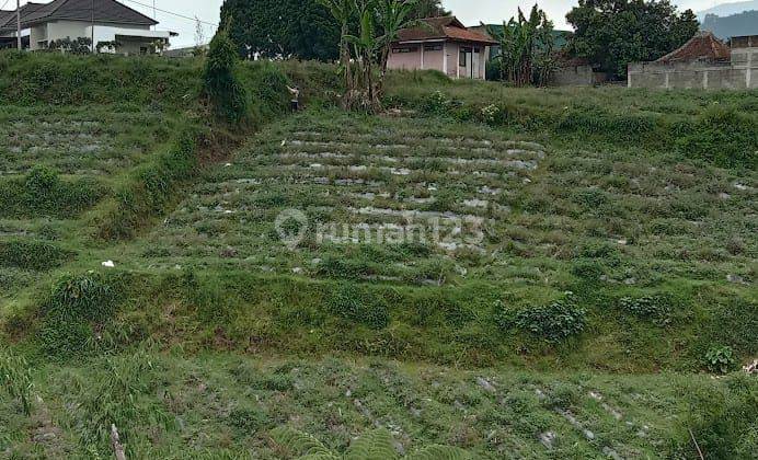 Tanah Masih Ditanami Sayuran Lembang Bandung 1