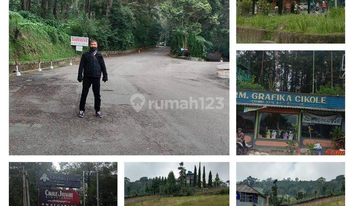 Tanah Strategis Dekat Lokasi Wisata Lembang Bandung 1