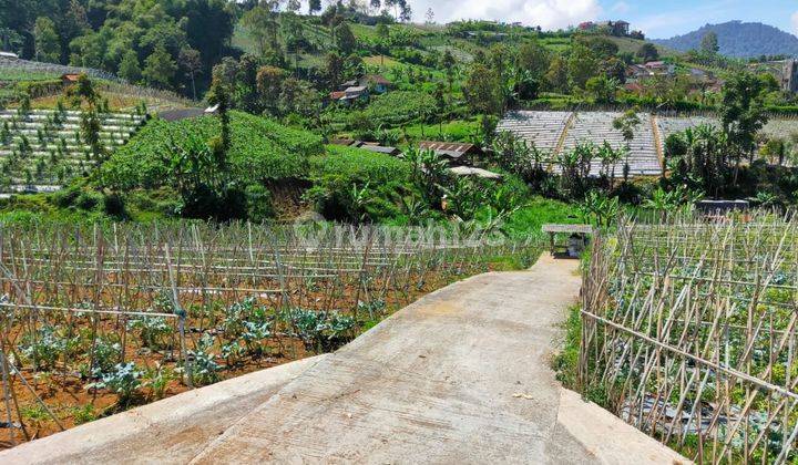 Tanah Kavling 3 Lokasi Sejuk View Pegunungan Nyalindung Cikole Lembang 1