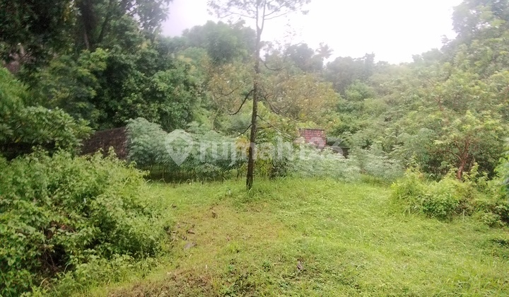 Land 20 Ares Bonus 1/2 Completed Building - Sukasada Buleleng