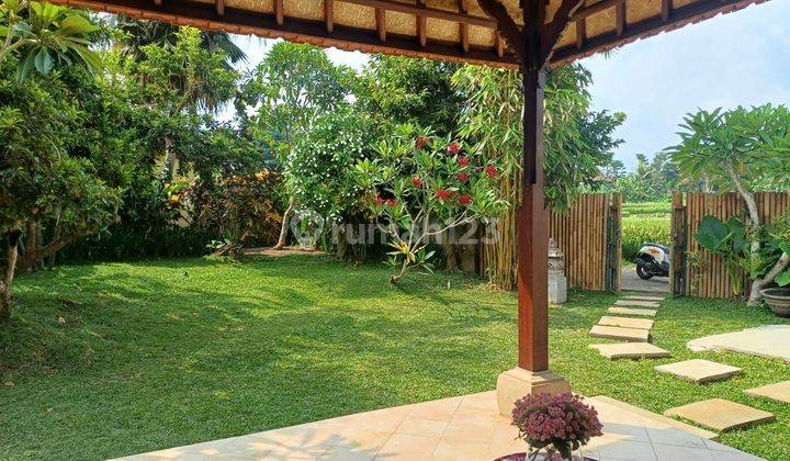 Villa Dijual/Disewakan 3 Kamar View Sawah Di Ubud 2