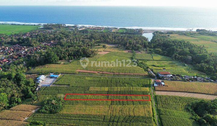 Dijual Tanah Kavling 20,8 are SHM Di Pasut Tabanan 2