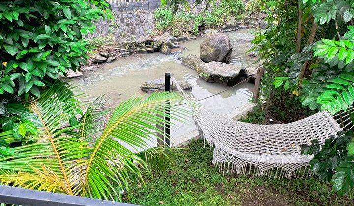 Villa 2 Kamar Dikontrakkan Dekat Canggu  2