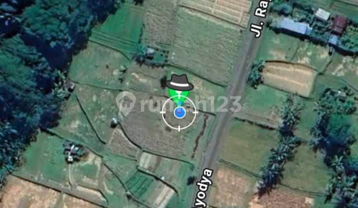 Dijual Tanah Pertanian Di Tampaksiring Gianyar