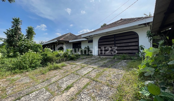Land Price Only House In West Pejaten