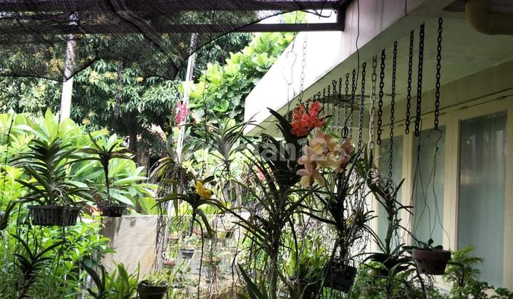 Rumah Satu Lantai di Komplek Tanjung Barat Indah Jakarta Selatan