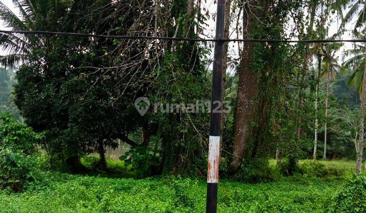Dijual Cepat Dan Murah Tanah Datar Lokasi Pinggir Jalan Propinsi Suli, Salahutu, Maluku Tengah 2