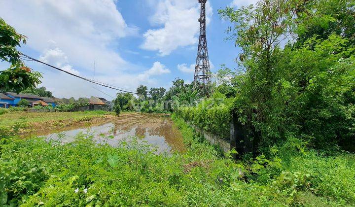 Dijual Lahan Tanah Seluas 2383 m2 Bebas Banjir Cocok untuk Dibangun Resto atau Hunian di Kalasan, Sleman, Yogyakarta 2