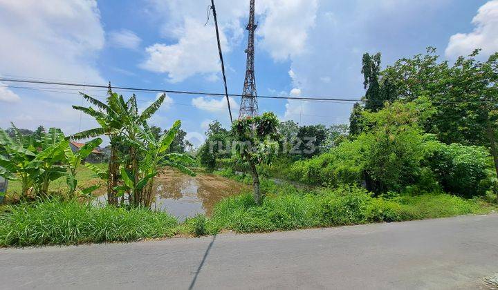 Dijual Lahan Tanah Seluas 2383 m2 Bebas Banjir Cocok untuk Dibangun Resto atau Hunian di Kalasan, Sleman, Yogyakarta 1
