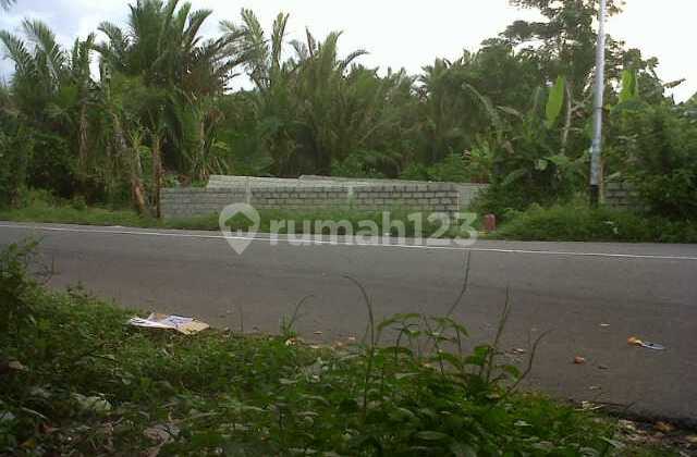 Tanah Luas 1331 M2 SHM Harga di Bawah Pasaran Cocok Dibangun Usaha, Wisata, Hunian Lokasi Hanya 5 Menit Dari Pelabuhan Tulehu Maluku Tengah