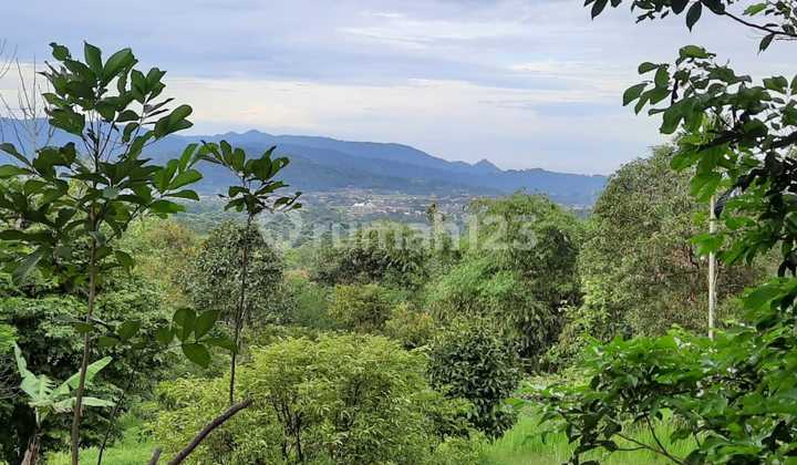 Dijual Tanah Kebun Dengan Bangunan Di Leuwimekar, Leuwiliang Bogor Dijual Tanah Kebun Dengan Bangunan Di Leuwimekar, Leuwiliang Bogor