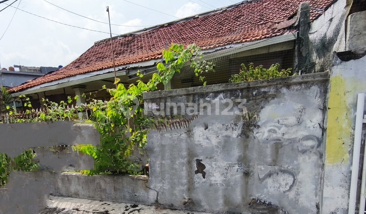 Dijual Cepat Dibawah NJOP Rumah Tua di Pejompongan Bendungan Hilir Jakpus Dijual Cepat Dibawah NJOP Rumah Tua di Pejompongan Bendungan Hilir Jakpus