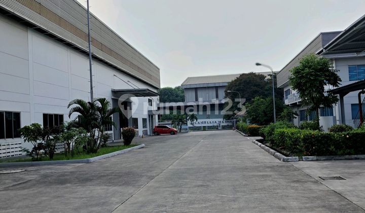 Good Clean Ready-to-Use Warehouse Delta Silicon Cikarang