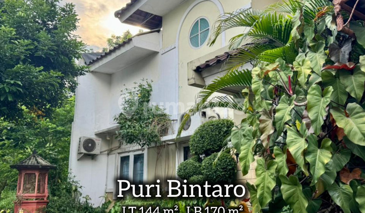 Rumah Puri Bintaro Jual Cepat Bintaro Sektor 9 Rumah Puri Bintaro Jual Cepat Bintaro Sektor 9