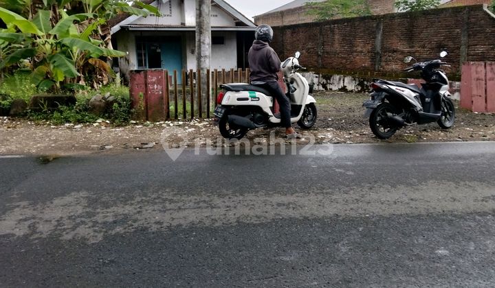 Dijual Tanah Dekat Kampus Dibawah Pasaran