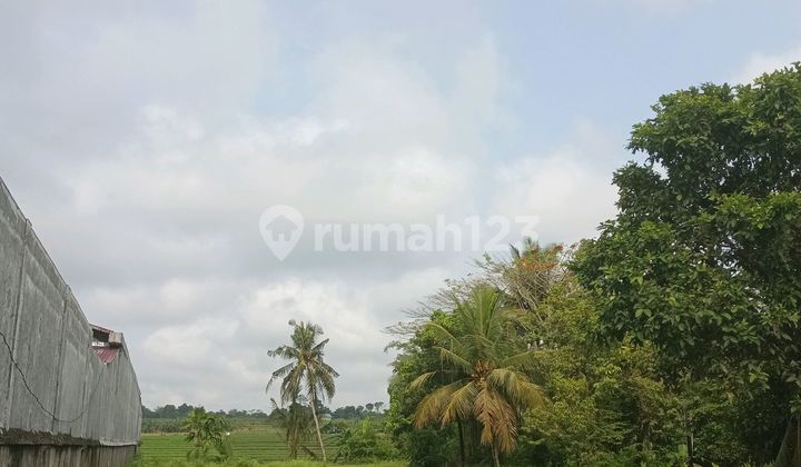 Strategic Land for Sale on a Busy Route in Gembong, Purbalingga Strategic Land for Sale on a Busy Route in Gembong, Purbalingga