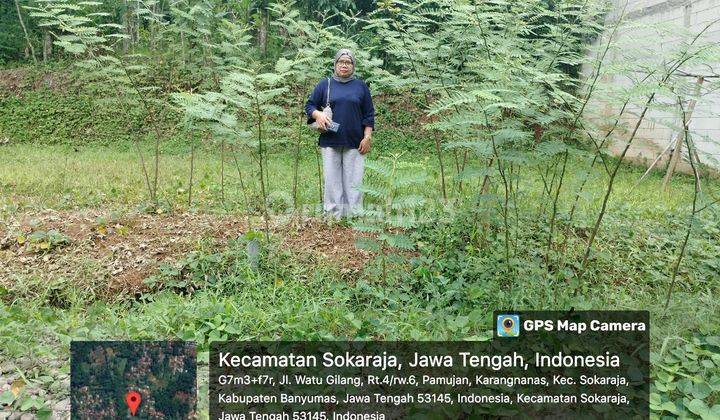 Tnah Kapling Murah Purwokerto Selatan 1