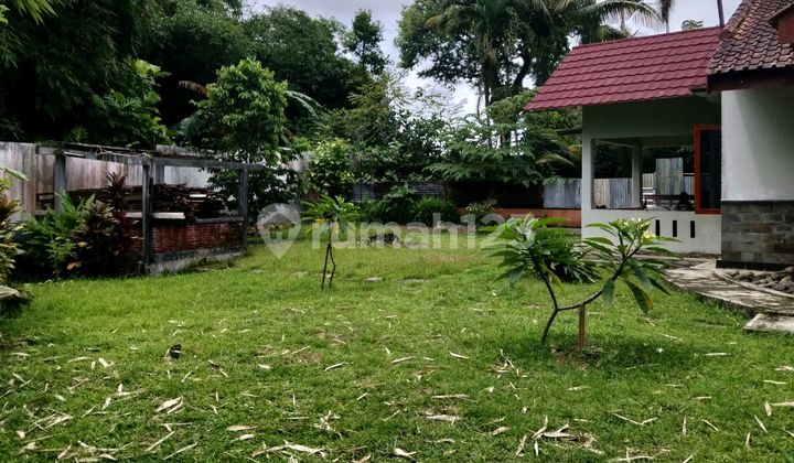 Bungalow House Near Baturaden 2