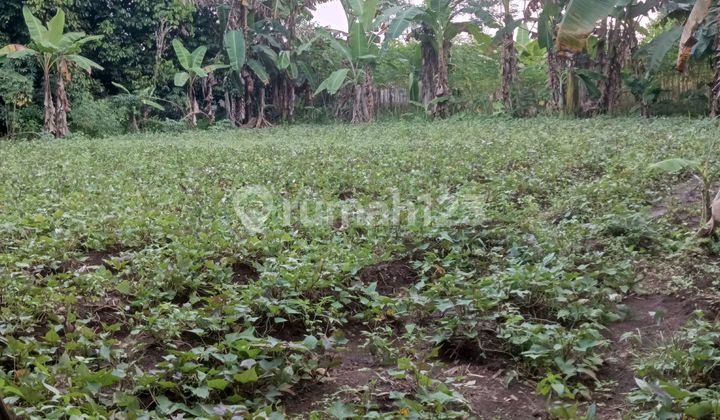 Jual Tanah Wirasana Dekat Perumahan Ayana 40.5 Ubin Boleh Nyempil 2