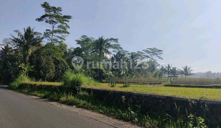 Tanah Startegis Purwokerto Utara Unsowd