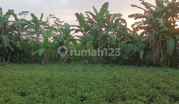 Land for Sale, Negotiable, Near Goeteng Hospital, 10 Minutes to Purbalingga City. Land for Sale, Negotiable, Near Goeteng Hospital, 10 Minutes to Purbalingga City.