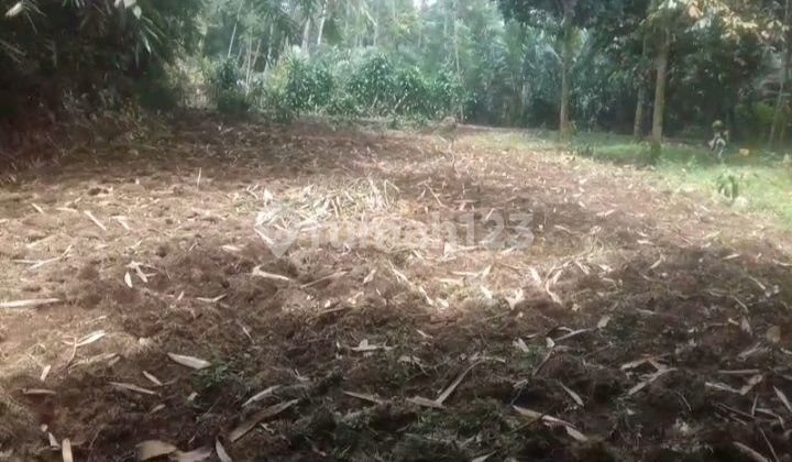 Jual Rugi 3 Shm 125 Juta Lokasi Dekat Smkn 1 Kutasari Purbalingga