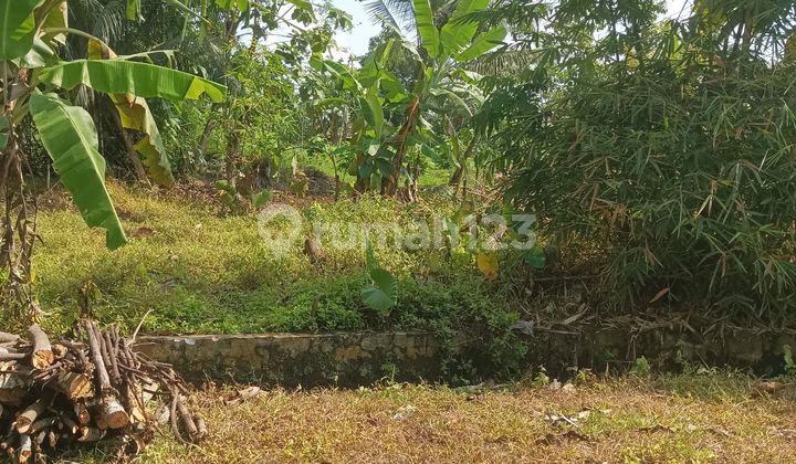 Dijual Tanah Di Planjan Babakan Purbalingga