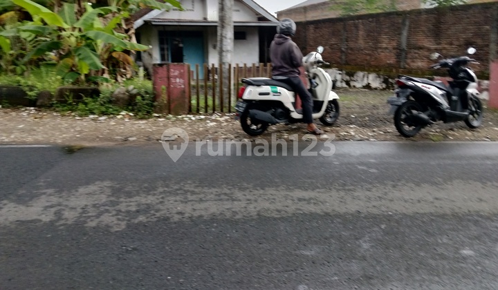 Dijual Tanah Dekat Kampus Dibawah Pasaran