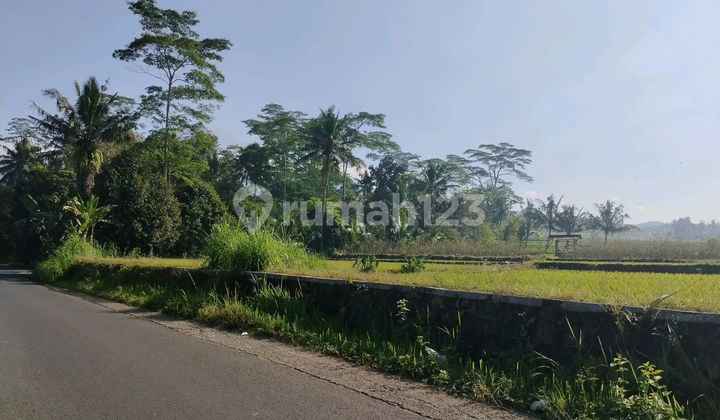 Tanah Startegis Purwokerto Utara Unsowd