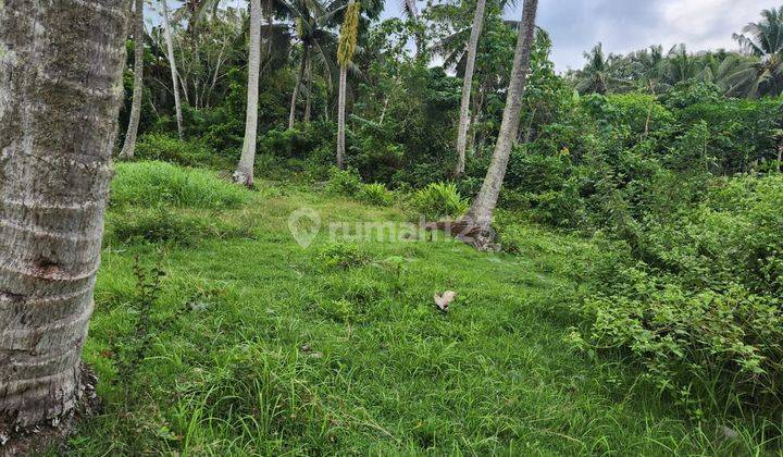 For Sale Cheap Land Los Sungai in Antap Balian Beach 2