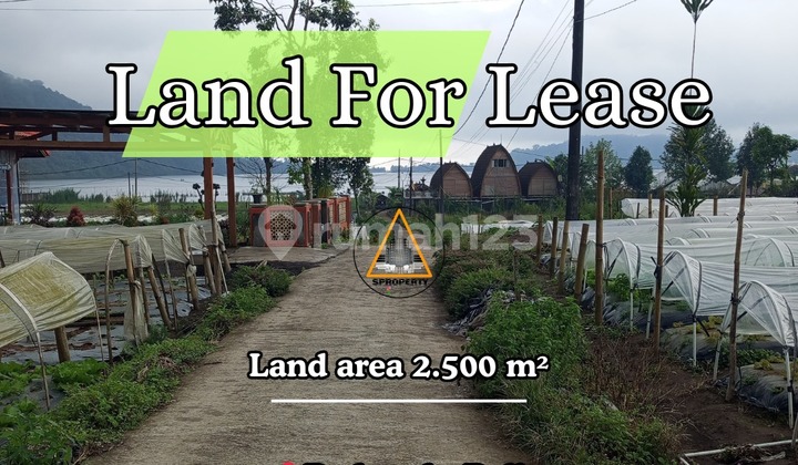 Dikontrakan Lahan Langka Dikawasan Obyek Wisata Bedugul