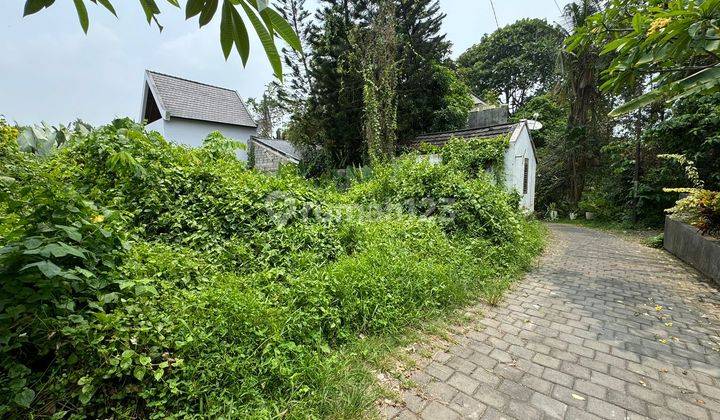 Rare Small Plot Land For Sale On Jalan Ir Sutami Kemenuh Ubud 1