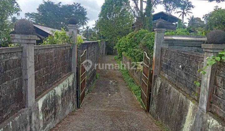 Land and Building for Sale on the Side of Susut Bangli Road 2